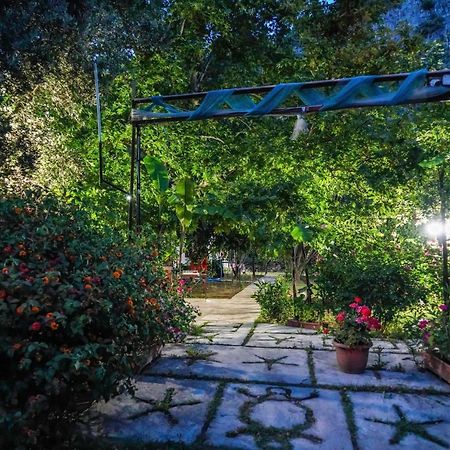 Arya Holiday Houses Çıralı Eksteriør bilde