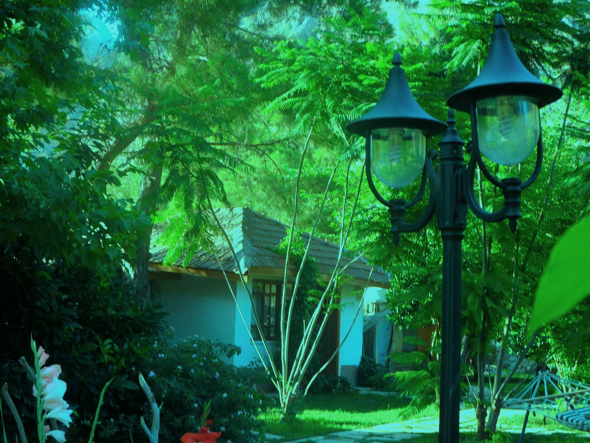Arya Holiday Houses Çıralı Eksteriør bilde