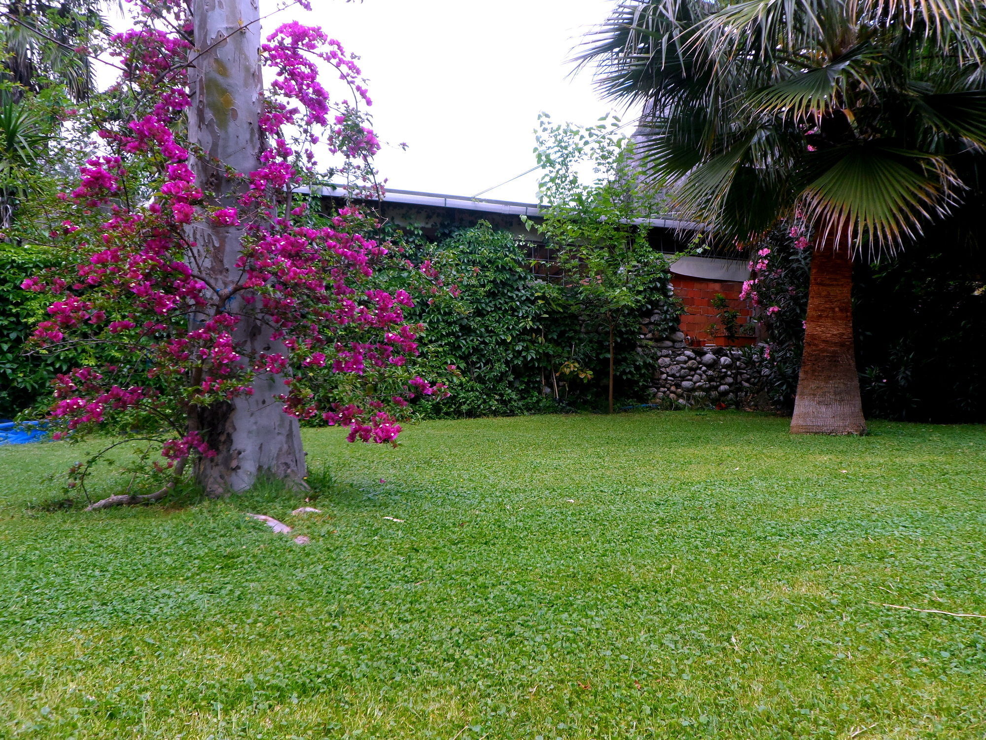 Arya Holiday Houses Çıralı Eksteriør bilde